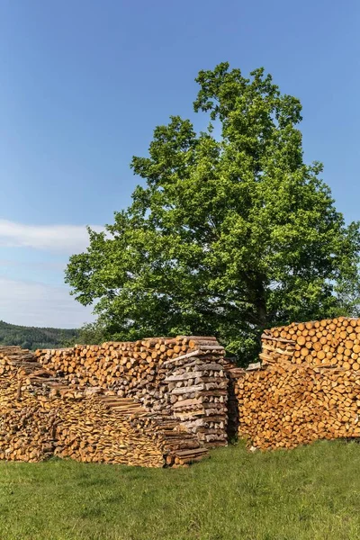 Stored Firewood Ecological Heating Pile Wood Meadow Blue Sky — Stock Photo, Image