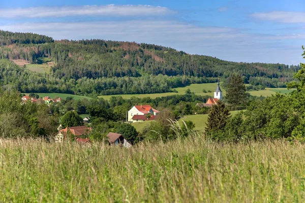 Вид Сельскую Готическую Церковь Мартины Деревня Долни Локи Чехия Европа — стоковое фото