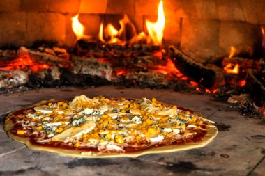 Peynirli pizza ve şifalı bitkiler. Farklı peynir türleri. Geleneksel İtalyan yemekleri. Restoranlar ve pizzacılar için konsept poster. 