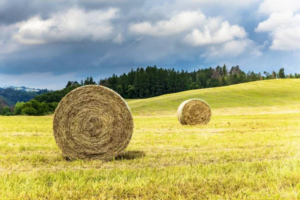 Saman Yığını Tarım Arazisi Tarım Saman Yığınları Mavi Gökyüzü Bulutlarla — Stok fotoğraf