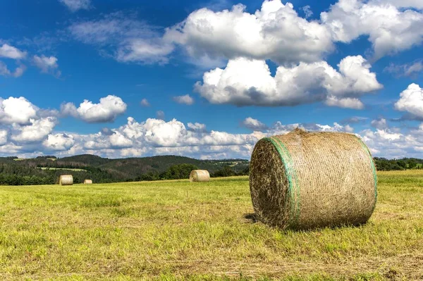 Haystack Agriculture Field Landscape Agriculture Field Hay Stacks Mown Meadow — Stock Photo, Image