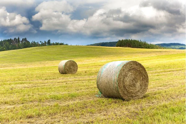 Haystack Agriculture Field Landscape Agriculture Field Hay Stacks Mown Meadow — Stock Photo, Image