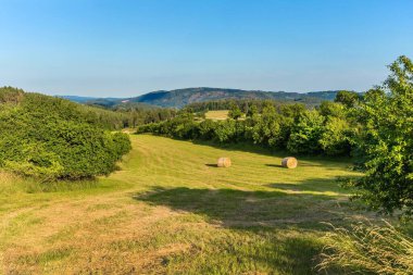 Çek Cumhuriyeti 'nde yeni biçilmiş bir çayırda saman hasadı. Saman balyaları. Kurutulmuş ot. Sığır yemi. Yaz akşamları tepe manzarası.