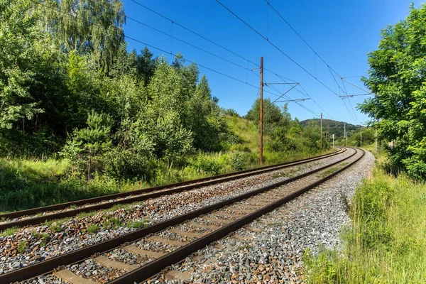 Järnvägsförbindelser Och Spår Omgivna Buskage Vid Kurva Tjeckien Närbild Något — Stockfoto