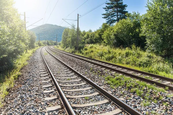 Traverses Voies Ferrées Entourées Arbustes Dans Virage République Tchèque Gros — Photo