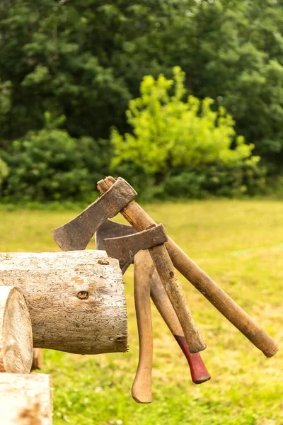 Oude Roestige Bijlen Een Dennenblok Gereedschap Voor Houthakkers Werk Het — Stockfoto