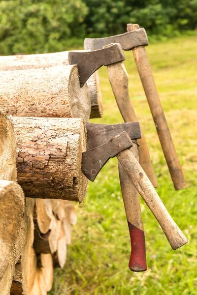 Viejas Hachas Oxidadas Atascadas Bloque Pino Herramientas Leñador Trabajo Bosque —  Fotos de Stock