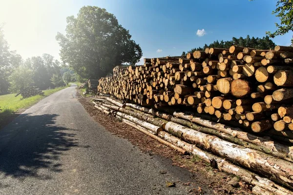 Firewood Wall Stacked Wood Logs Country Road Edge Forest Pile — Stock Photo, Image