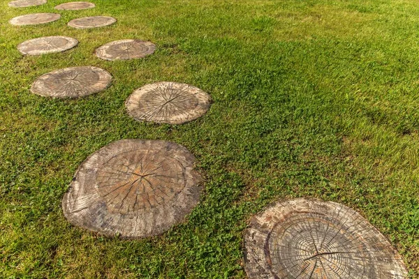 Straße Auf Der Grünen Wiese Holzweg Von Baumstümpfen Auf Grünem — Stockfoto