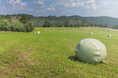 Çekoslovakya 'daki tarım arazisi saman yığınlarıyla dolu. Plastik yeşil folyoya sarılı tahıl gevreği balyası. Yaz hasadı. Sığır yemi.