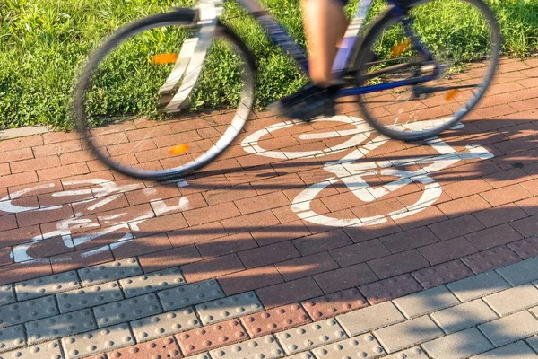 Panneau Icône Vélo Sur Route Dans Ville Piste Cyclable Symbole — Photo