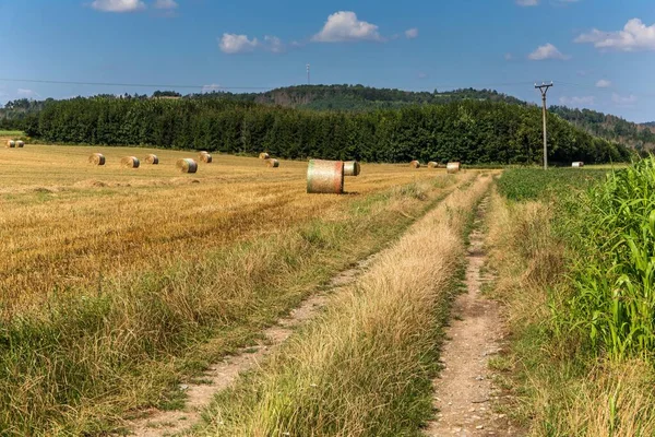 Getreidefeld Mit Strohballen Tschechien Landwirtschaft Hintergrund Mit Kopierraum Sommer Und — Stockfoto
