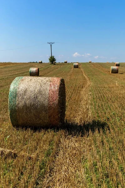 Campo Raccolto Con Balle Paglia Repubblica Ceca Agricoltura Sfondo Con — Foto Stock