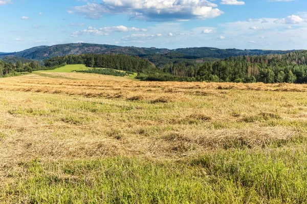 Jordbrukslandskapet Tjeckien Spannmålsskörd Ett Eget Fält Halm Fältet Sommardag Gården — Stockfoto