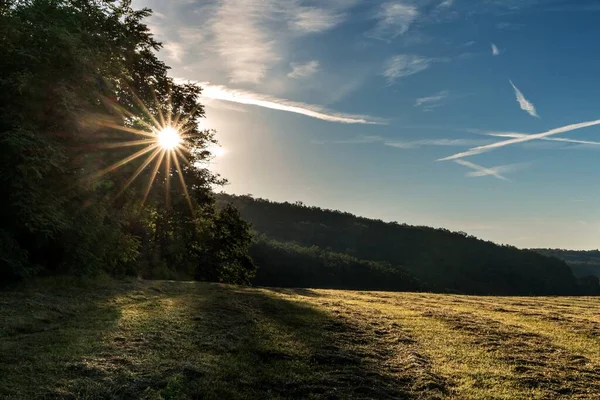 Утренний Пейзаж Лесу Солнцем Проливающим Прекрасные Лучи Света Сквозь Деревья — стоковое фото