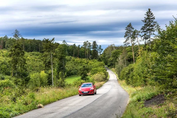 Asfaltweg Door Groen Bos Bomen Dennen Sparren Asfaltweg Bocht Passeren — Stockfoto