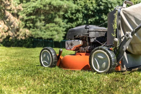 Giardinaggio Falciare Prato Con Tosaerba Benzina Primo Piano Una Ruota — Foto Stock