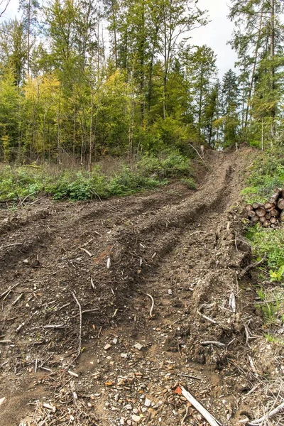 Muddy Road Forest Road Loggers Destroyed Forest Road Logging Czech — Stock Photo, Image