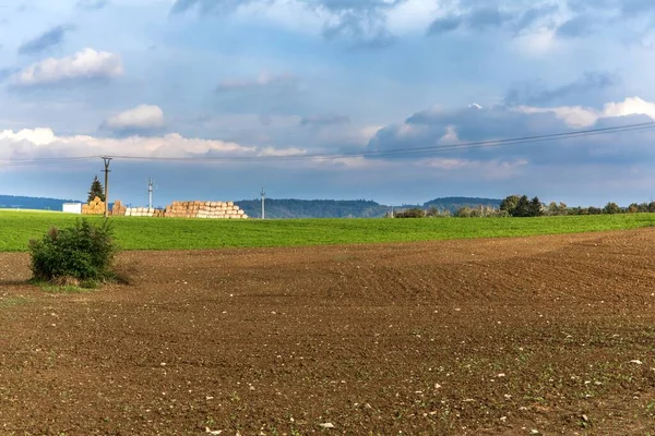 Plowed Sown Field Sunset Agricultural Landscape Czech Republic Growing Grain — Stock Photo, Image