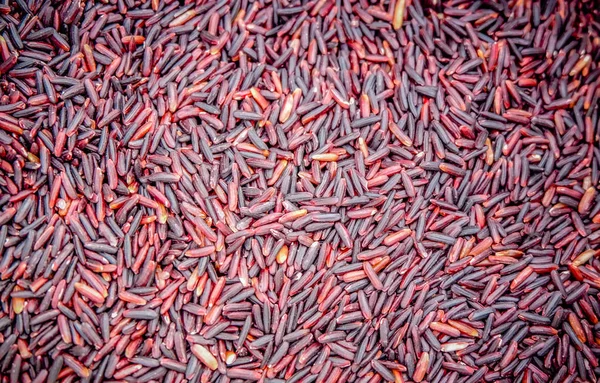 Fond Riz Thaï Riz Riceberry Produits Agricoles Fond Riz Violet — Photo
