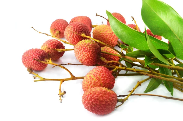 Vers Lychee Geïsoleerd Rood Lychee Fruit Blad Geïsoleerd Witte Achtergrond — Stockfoto