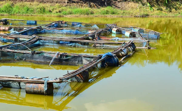 Fischkäfigzucht Fluss Thailändische Landwirtschaft Fischzucht Schwimmt Der Oberfläche Süßwasser Binnenfischerei — Stockfoto