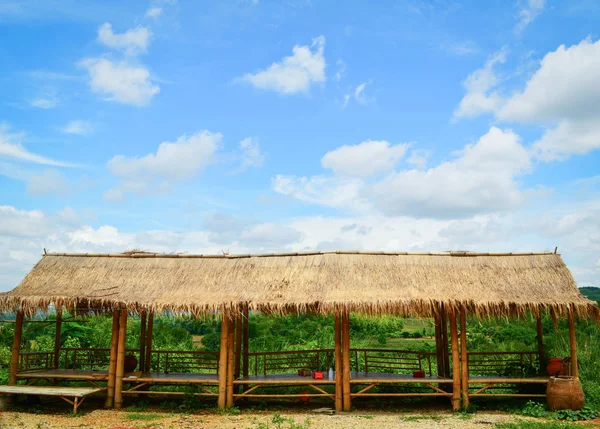 rustik kulübe çatı kuru gras ile