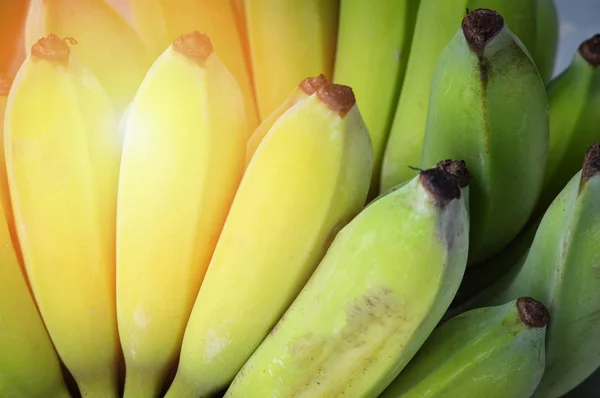 Čerstvé Banánové Zelené Pozadí Syrové Zelené Kultivované Banány Sklizeň Tropického — Stock fotografie