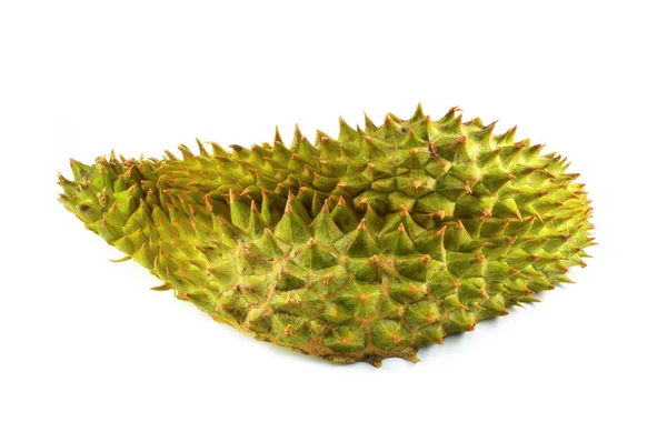 Écorce d'épine durian isolé / fruits tropicaux durian écorce piquante — Photo