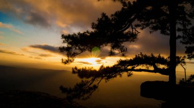 siluet ağaç günbatımı dağ dramatik / pha lomsak phu kradueng ulusal park çam cliff loei Tayland dönüm noktası 