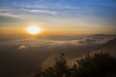 Sisli manzara dramatik / sabah güzel gündoğumu sis kapağı dağ arka plan - orman tepe sis sis akışı rüzgar ve mavi gökyüzü ile