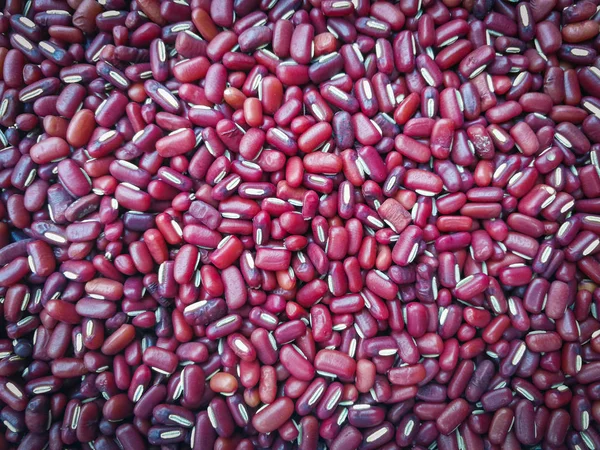 red kidney bean background / grains or cereal seeds red kidney bean pile on the texture background