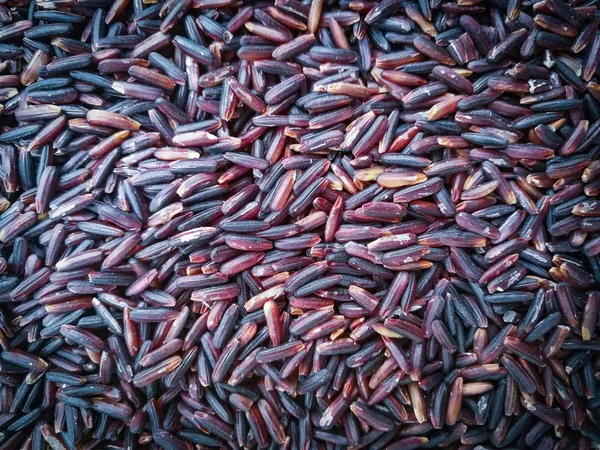 Fond Riz Thaï Riz Riceberry Produits Agricoles Fond Riz Violet — Photo