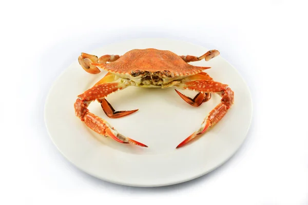 在白色背景查出的蒸螃蟹 熟螃蟹蒸海鲜在白色盘子准备送达 蓝色游泳蟹 — 图库照片