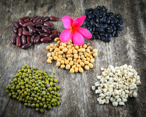 Whole Grains Seeds Various Beans Lentils Mung Bean Black Bean — Stock Photo, Image