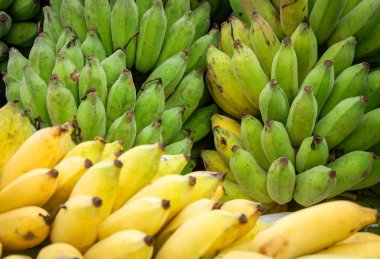 taze muz doku arka plan / olgun ve ham ekili muz hasat Bahçe organik meyve - tropikal meyve muz sarı ve yeşil arka planını kapatın 