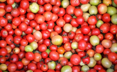 kırmızı domates asma doku arka plan - ripe domates üzüm satış içinde belgili tanımlık çarşı yığını
