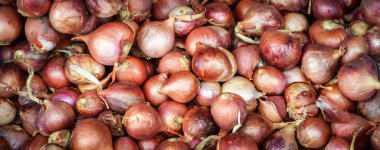 Arpacık arka plan doku, herb bitkisel madde soğancık soğan (Allium ascalonicum) Tayland Gıda için popüler