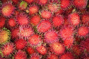 Rambutan arka plan / taze olgun rambutan doku meyve tropik