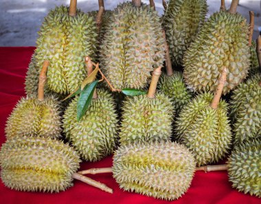 Durian durian Tay / taze meyve sepet yerel Satılık durian bahçesinden Tayland tropikal meyve pazarlar