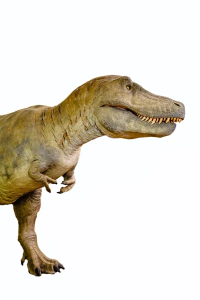 Динозавр Rex Изолирован Динозавр Tyrannosaurus Rex Статуя Изолирована Белом Фоне — стоковое фото