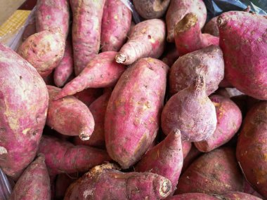 Arka planda kırmızı yer elması / mor yer elması yığını - pazarda taze yer elması hasat tarımı / tatlı patates