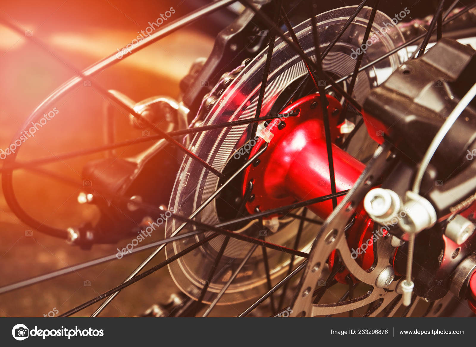 mountain bike back wheel