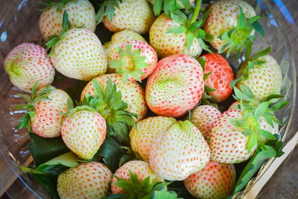fresh strawberry from farm Strawberry harvest in farm red and green strawberries fruit in organic garden background