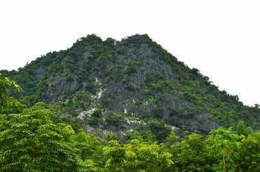Ağaç ile büyük kayalık tepe / Tayland dağ taş