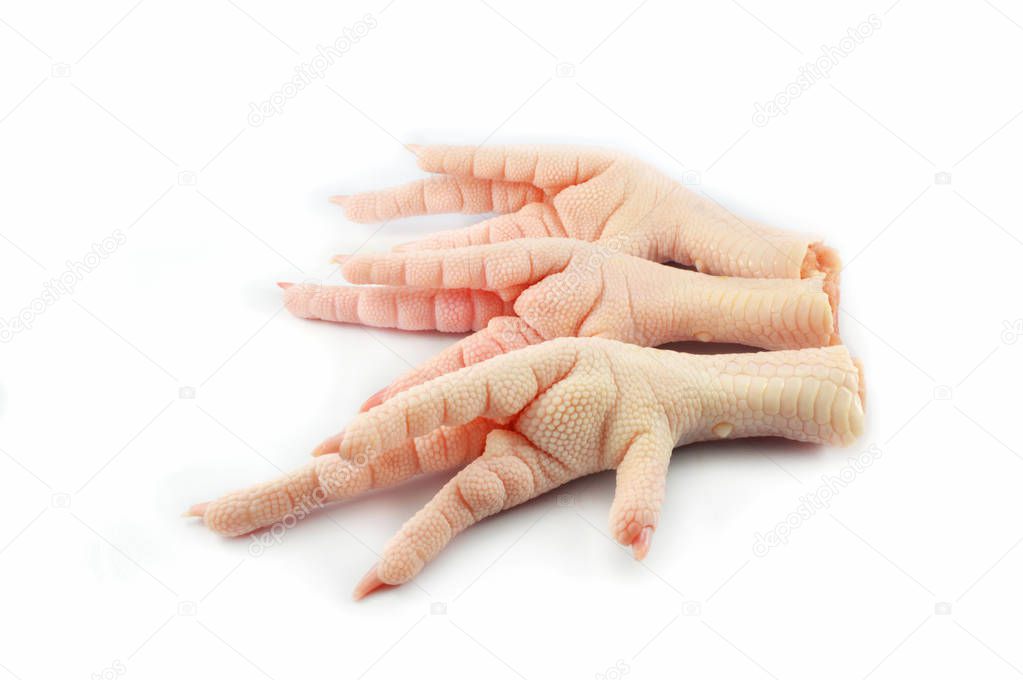 Chicken feet isolated on white background / Fresh Raw chicken feet or foot