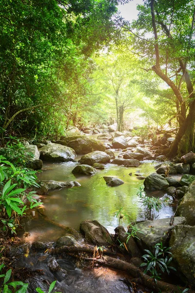 Rivière Nature Forêt Verte Ruisseau Eau Montagne Avec Des Pierres — Photo