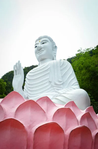 白い仏像 丘の上の山と木の背景に大仏 — ストック写真