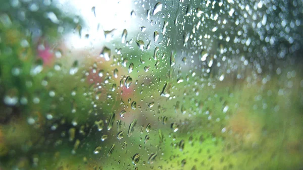 Rain Drops Glass Rainy Day Window Glass Rain Drops Green — Stock Photo, Image