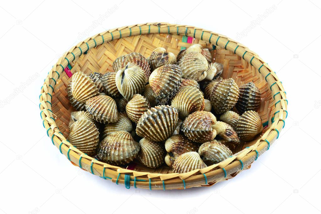 fresh cockles in the basket isolated on white background 
